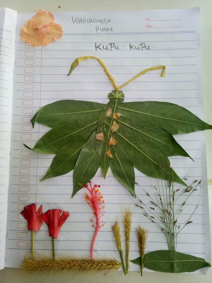 prakarya anak membuat hewan