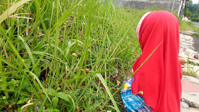 Stimulasi-Kecerdasan-Majemuk-Anak-dengan-Kegiatan-di-Luar-Rumah cara menstimulasi kecerdasan naturalis anak