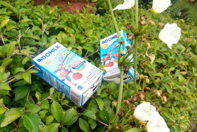 bagus uht atau susu bubuk?