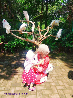 Stimulasi-Kecerdasan-Majemuk-Anak-dengan-Kegiatan-di-Luar-Rumah kebun binatang bandung