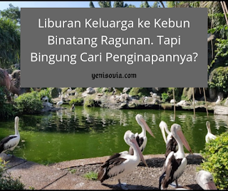 liburan keluarga ke kebun binatang ragunan. tapi bingung cari penginapannya? liburan keluarga ke kebun binatang ragunan. tapi bingung cari penginapannya?