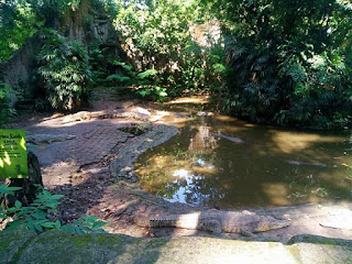 liburan keluarga ke kebun binatang ragunan. tapi bingung cari penginapannya? kebun binatang bandung