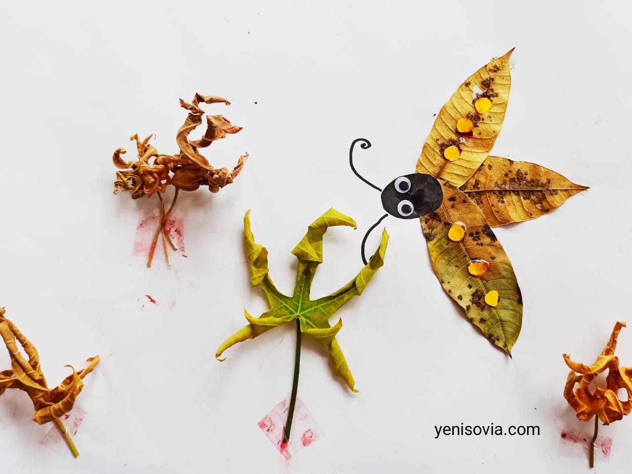 Prakarya Anak, Membuat Kolase Hewan dari Daun
