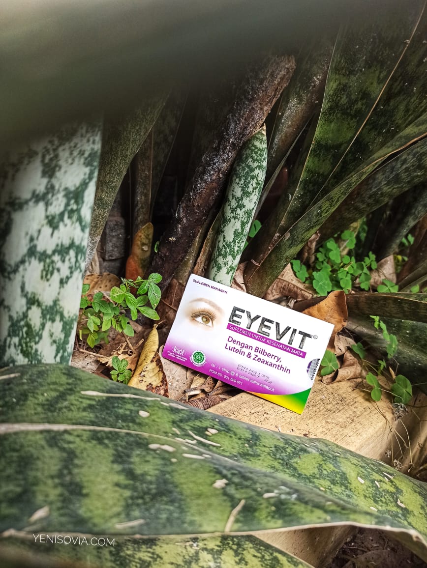 Cara Menjaga Kesehatan Mata dengan Eyevit Eyevit tablet