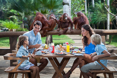 Harga-Tiket-Wisata-Hits-Bali-di-Traveloka liburan keluarga di bali zoo