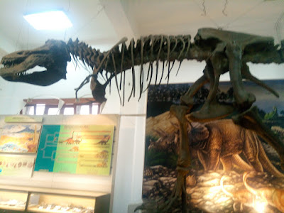 serunya-liburan-ke-museum-geologi-bandung-dan-naik-bandros fosil dinosaurus