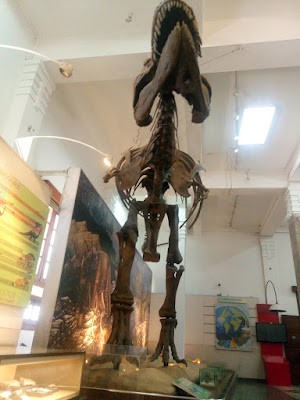 serunya-liburan-ke-museum-geologi-bandung-dan-naik-bandros dinosaurus