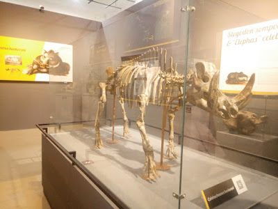 serunya-liburan-ke-museum-geologi-bandung-dan-naik-bandros fosil dinosaurus