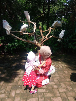 yeni sovia adalah seorang parenting blogger indonesia sekaligus mom blogger dengan niche blog parenting dan anak berkebutuhan khusus  