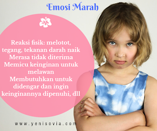 Cara Mengendalikan Emosi Ibu Pada Anak  Emosi Marah
