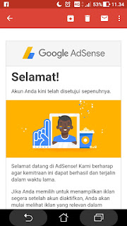 Satu Tahun Ngeblog. 8 Hal Ini yang Tidak Terduga Saya Capai  Diterima oleh google adsense