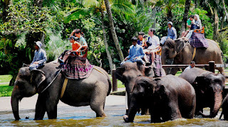 Gajah, bali